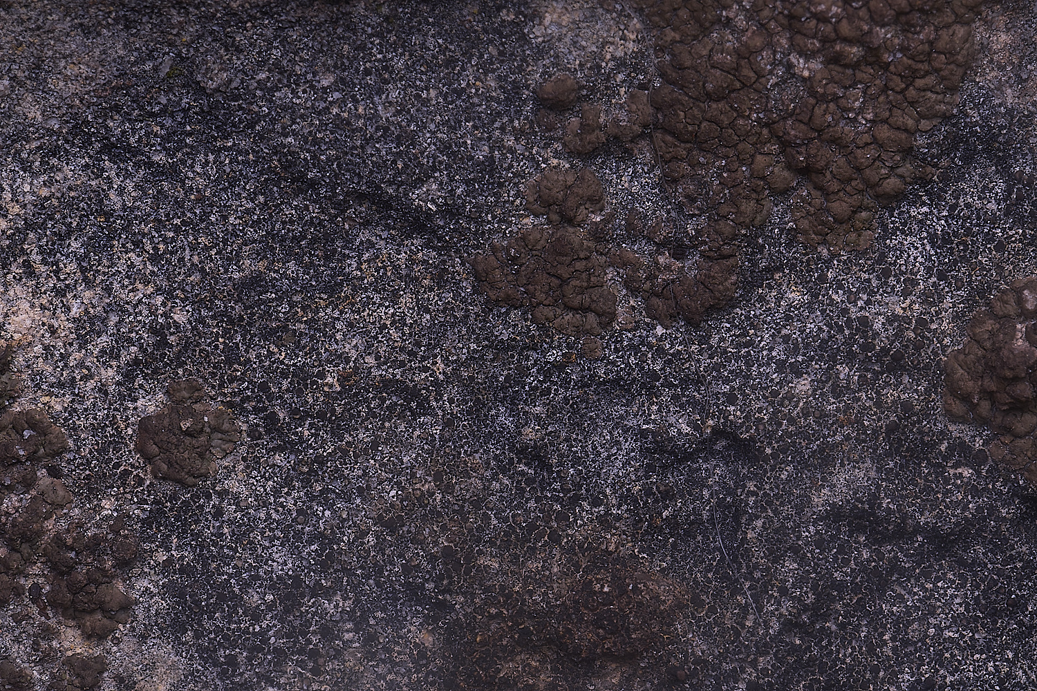 CleyChurchLichen9050225-1