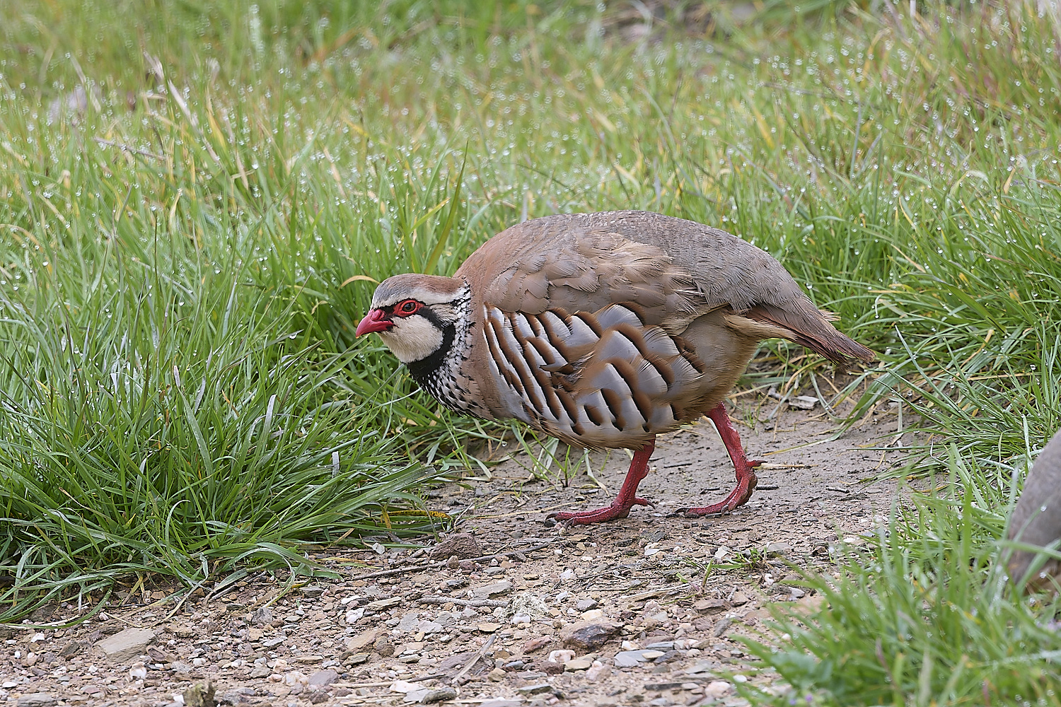 CVBioreserveRLP250325-1