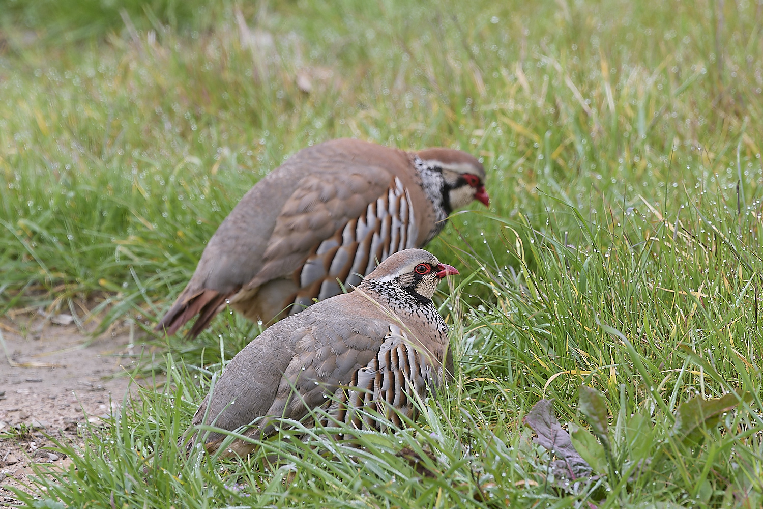 CVBioreserveRLP250325-2