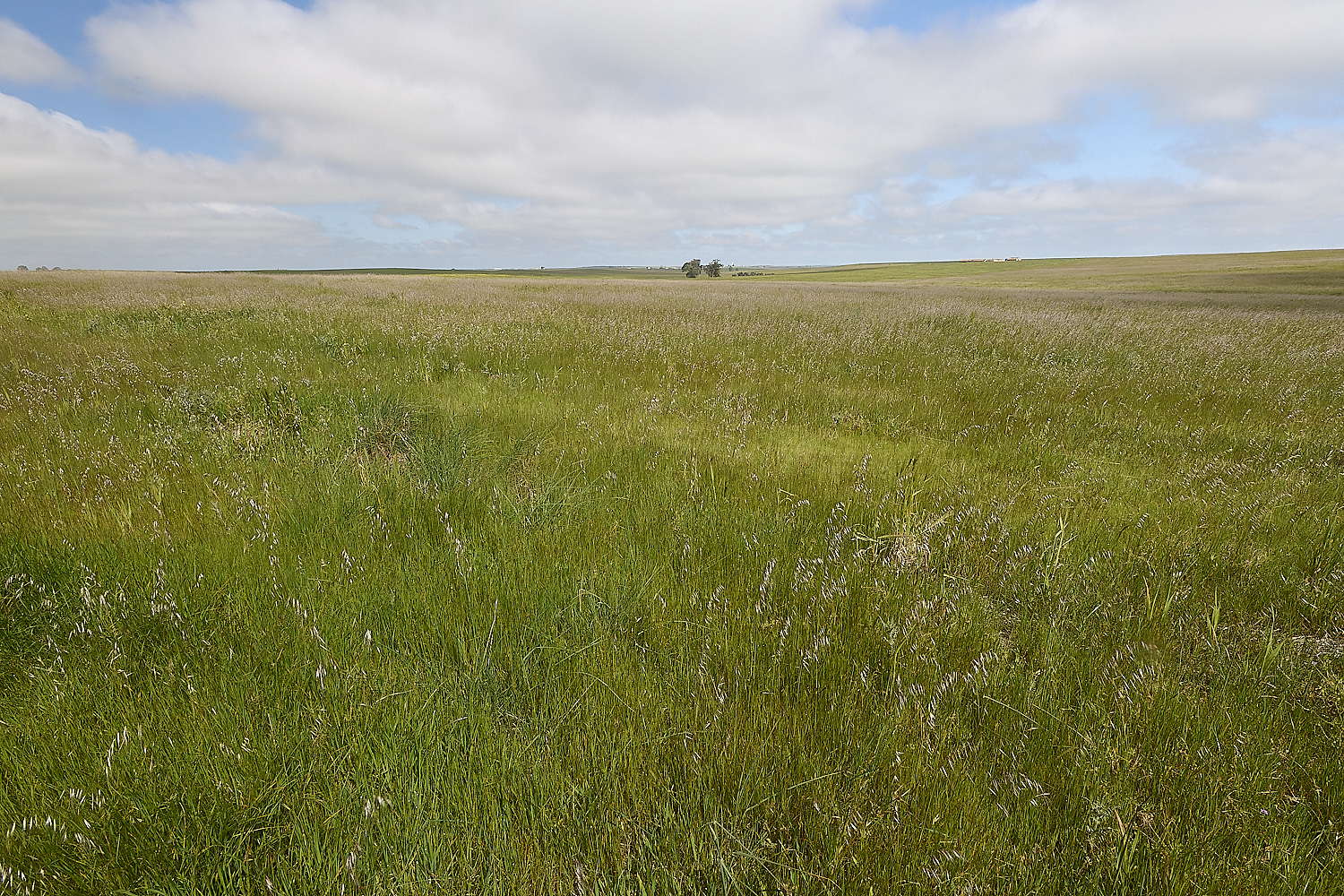 CVerdeBioReserve250325-11