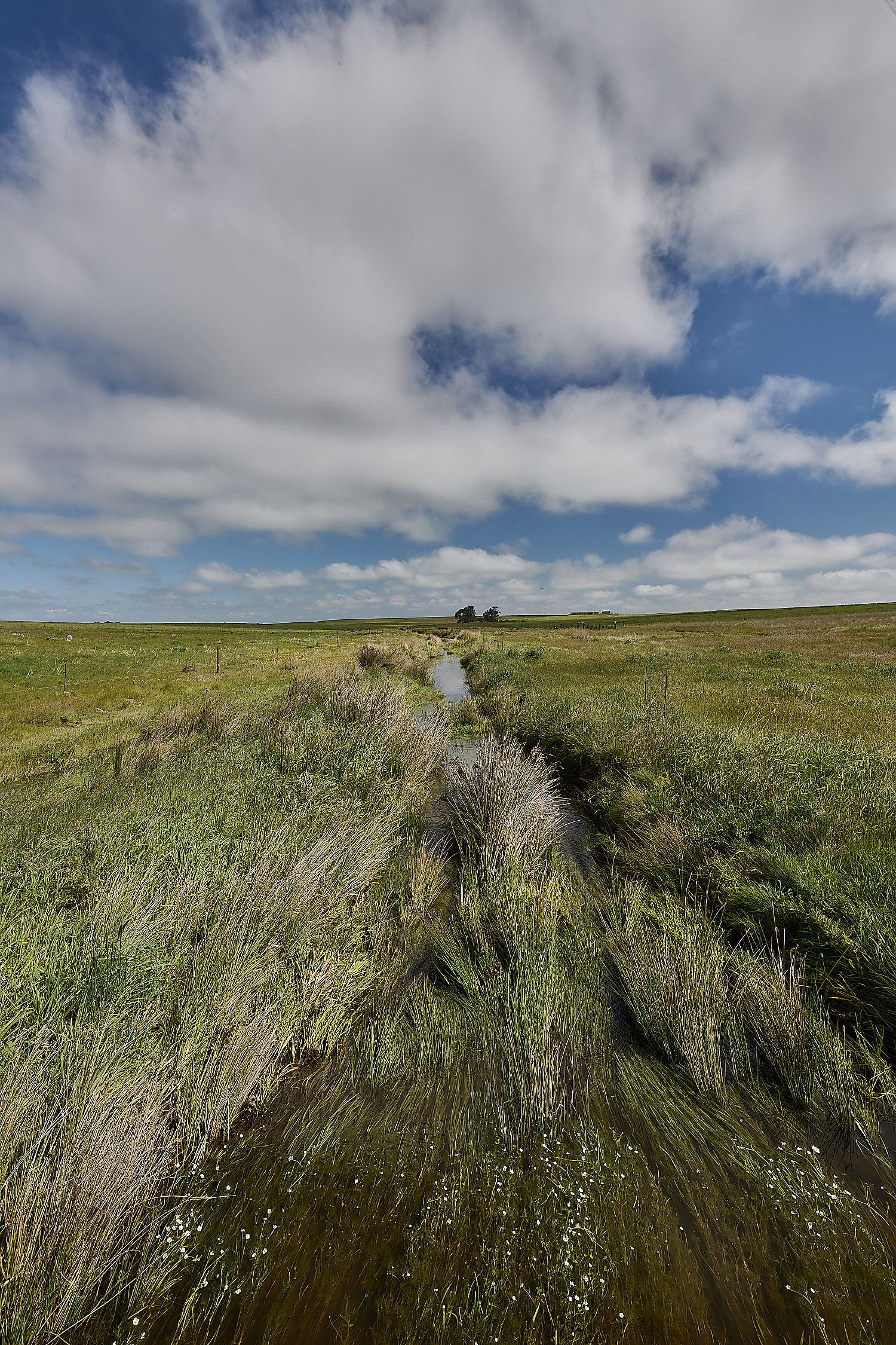 CVerdeBioReserve250325-12