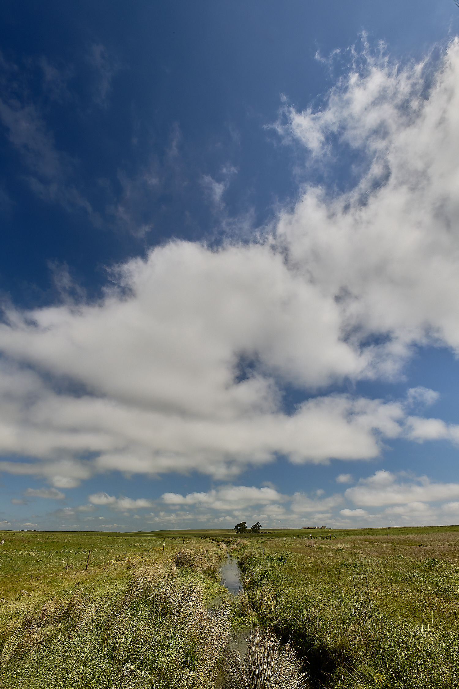 CVerdeBioReserve250325-13