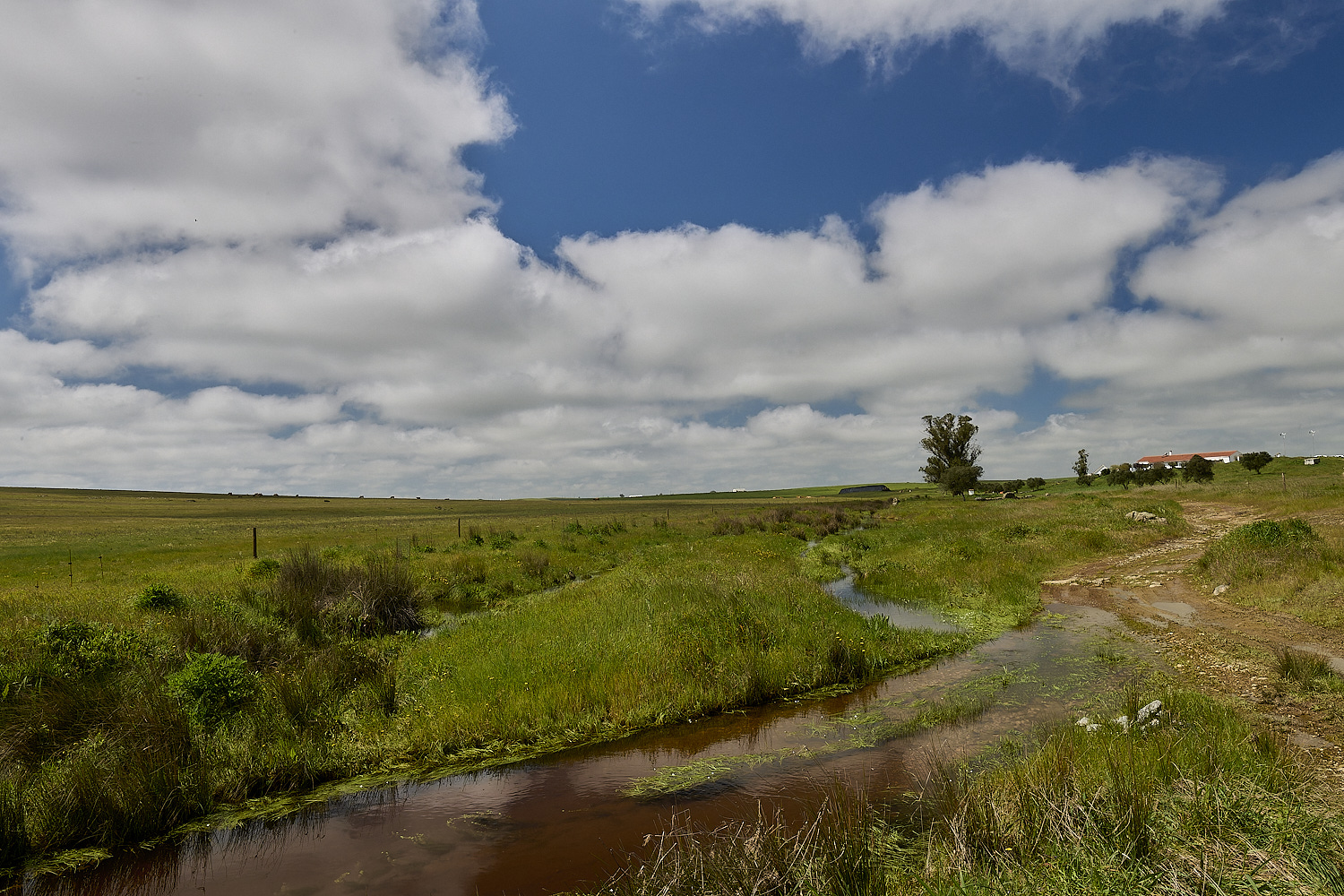 CVerdeBioReserve250325-15