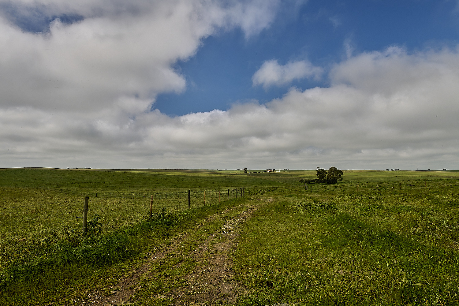 CVerdeBioReserve250325-2