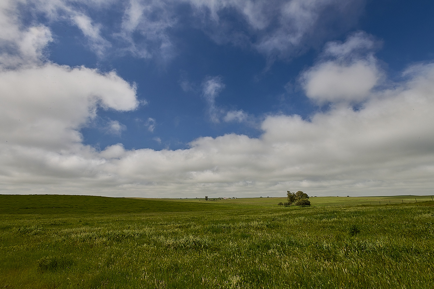 CVerdeBioReserve250325-3