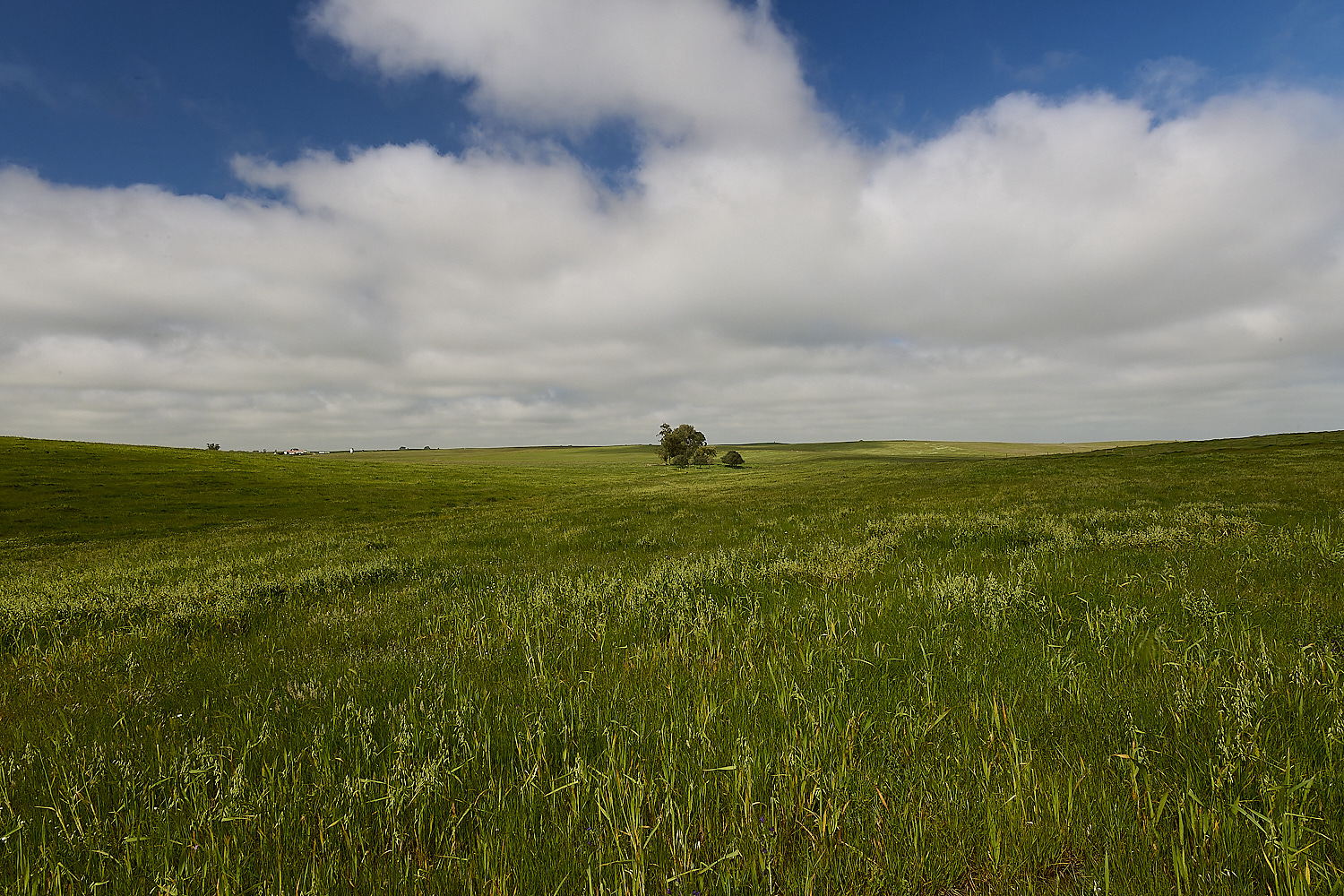 CVerdeBioReserve250325-4