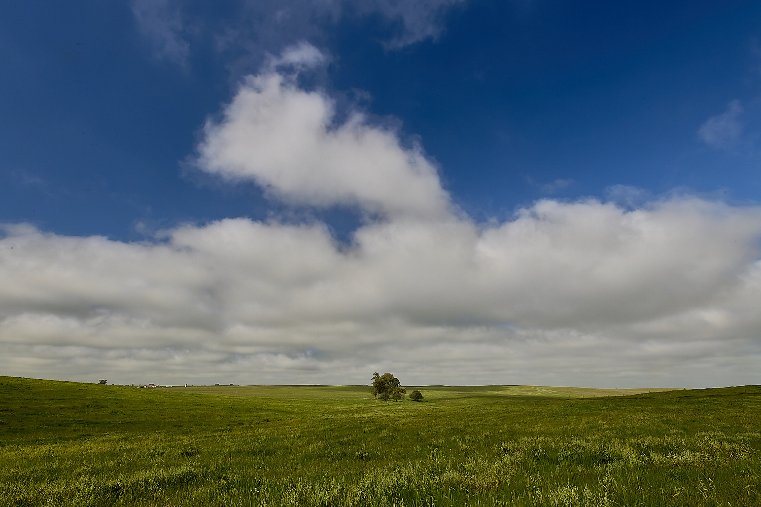 CVerdeBioReserve250325-5