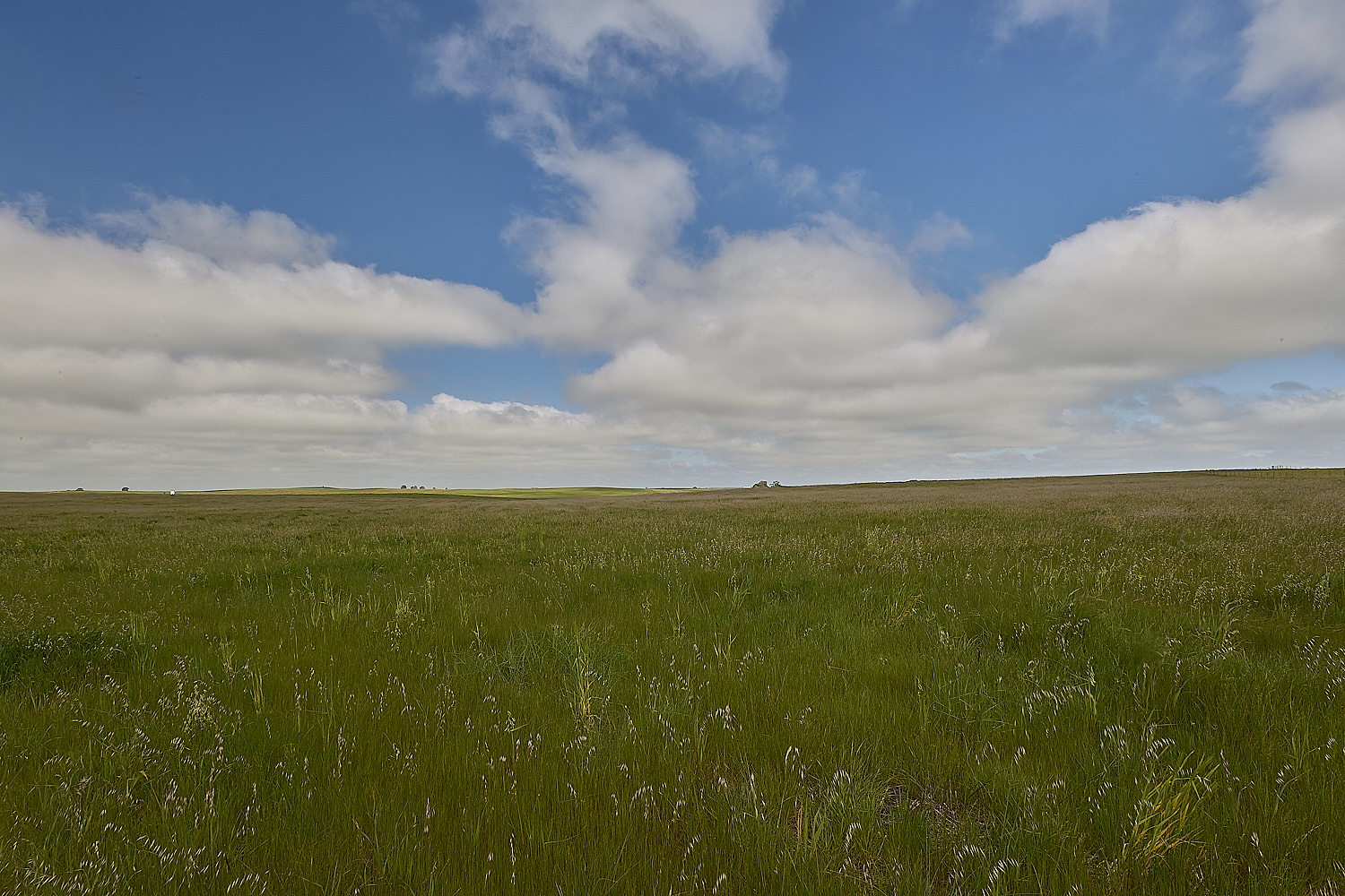 CVerdeBioReserve250325-7