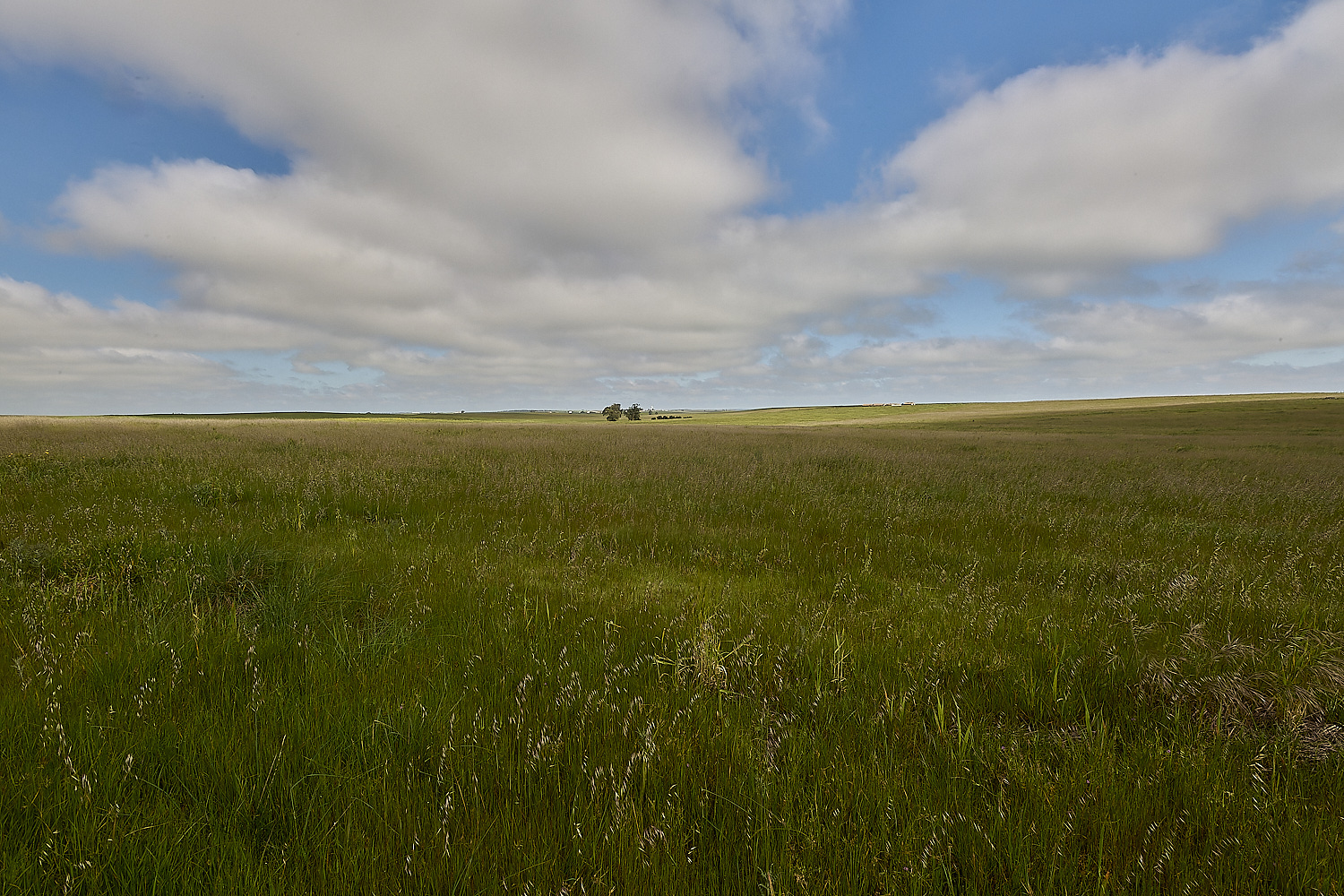 CVerdeBioReserve250325-9