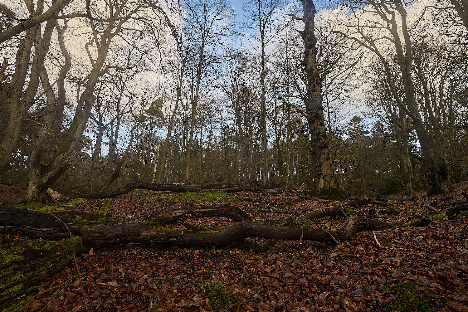 Felbrigg020125-3