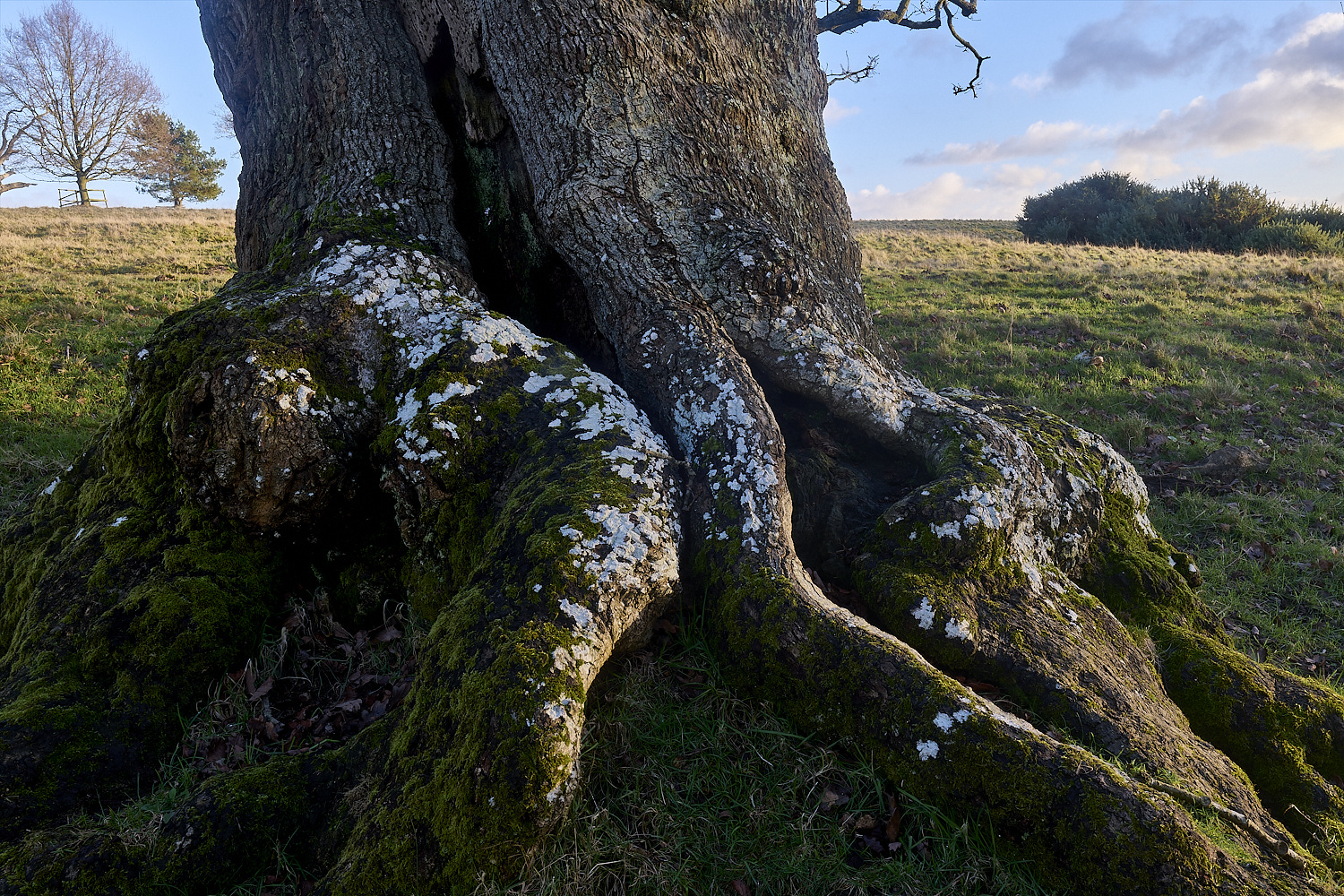 Felbrigg020125-4