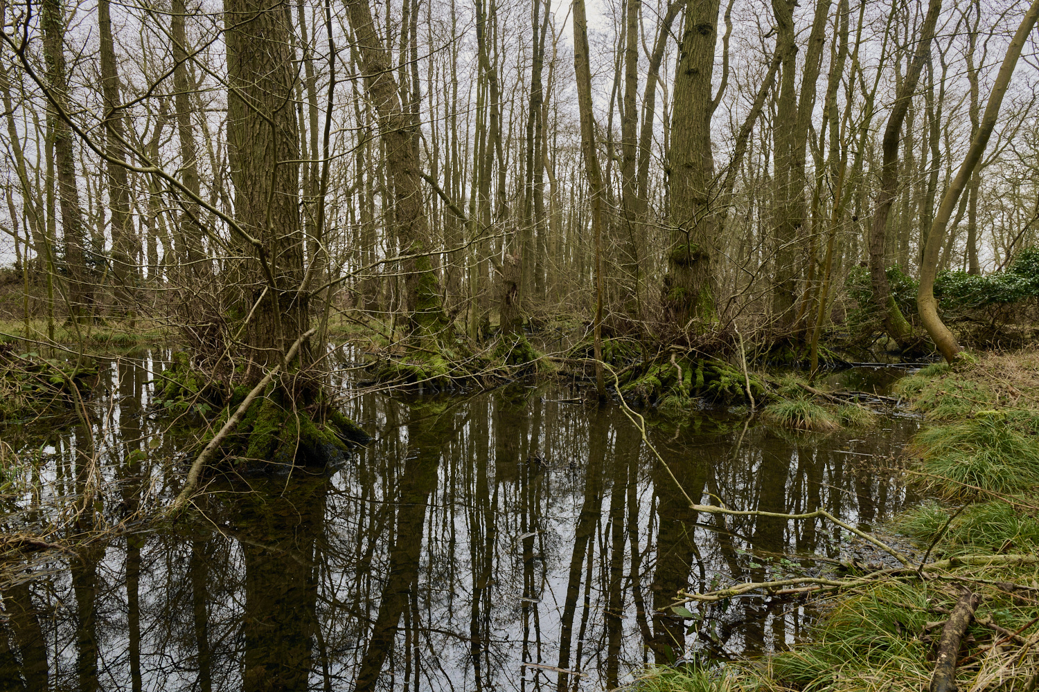 HinderclayFen090225-1