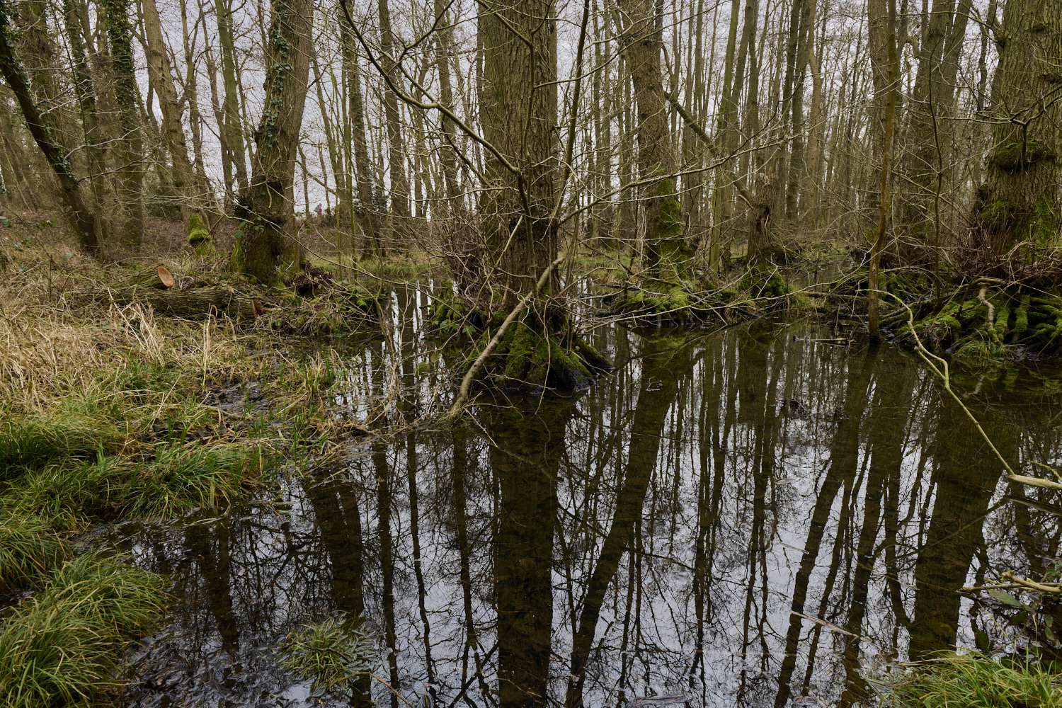 HinderclayFen090225-2