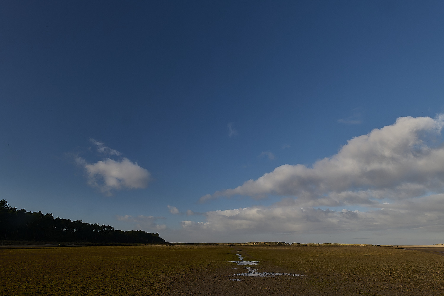 Holkham100125-1