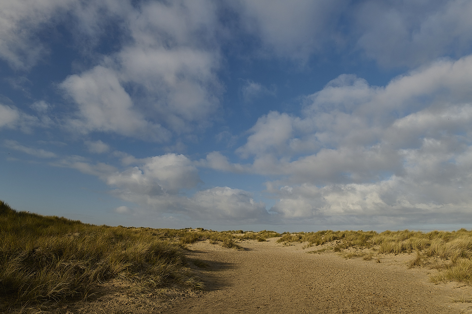 Holkham100125-2