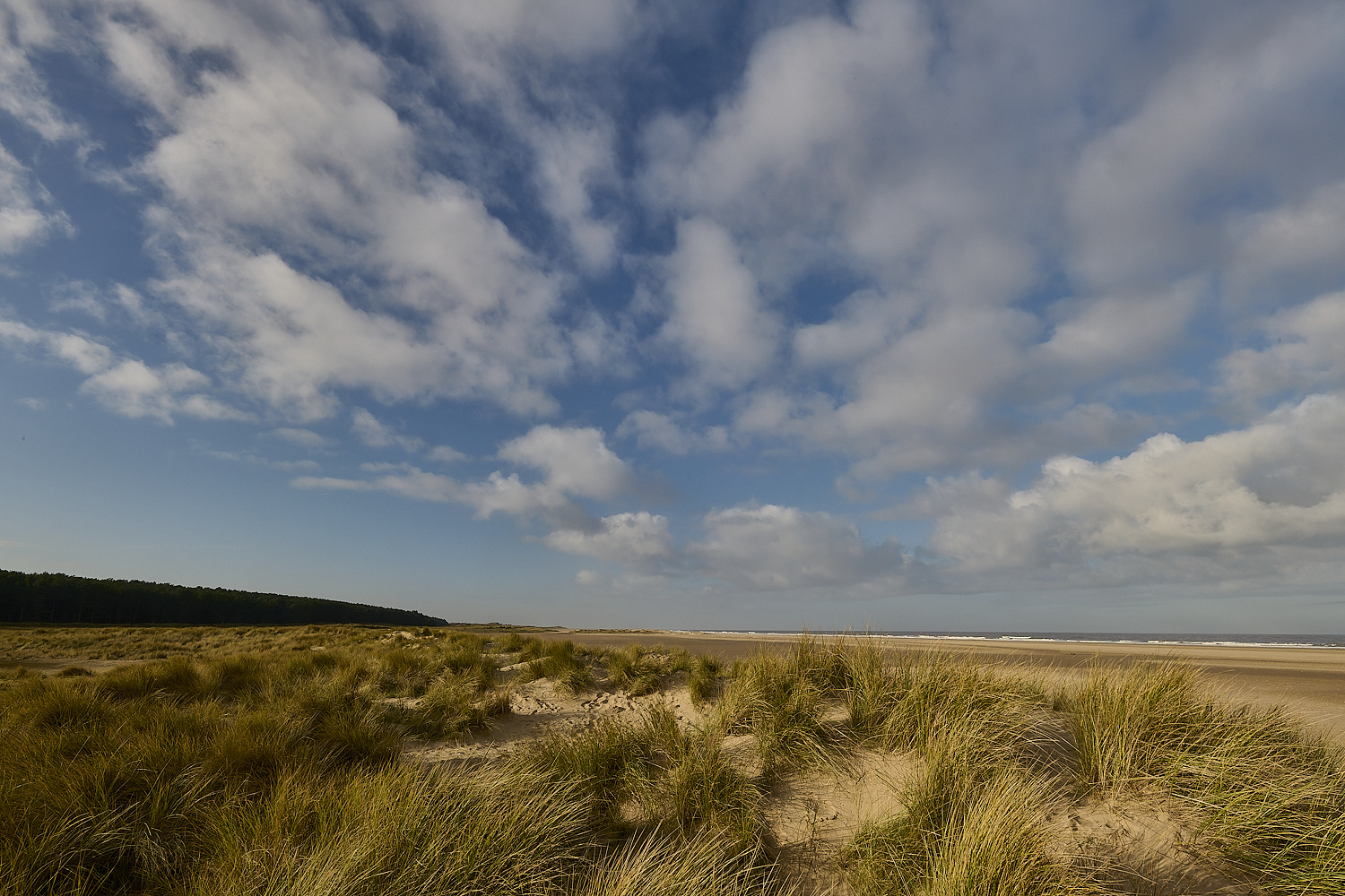 Holkham100125-3