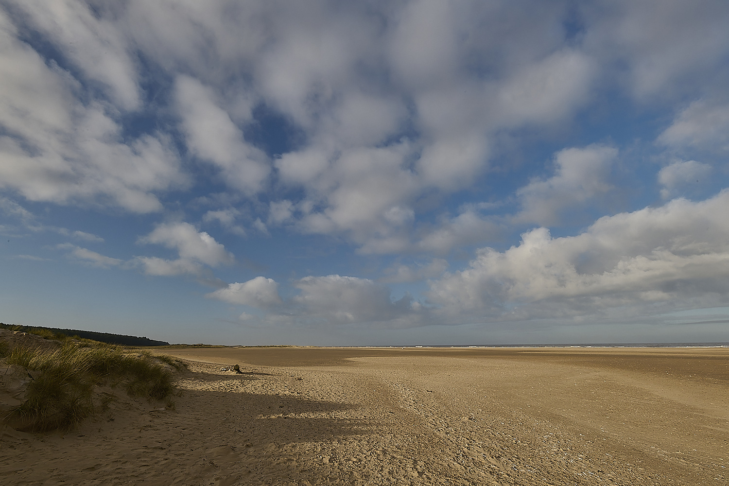 Holkham100125-4