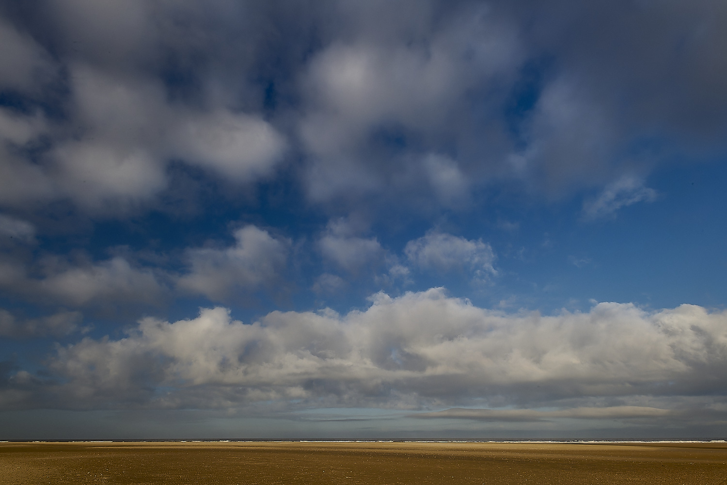 Holkham100125-5