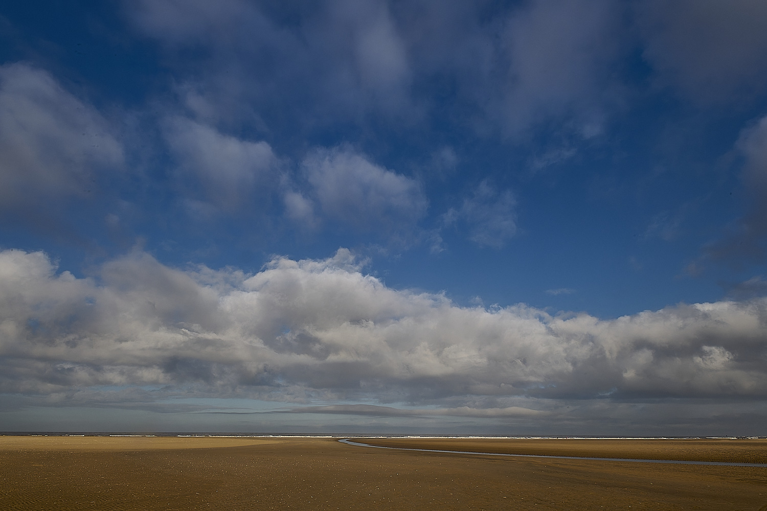 Holkham100125-6