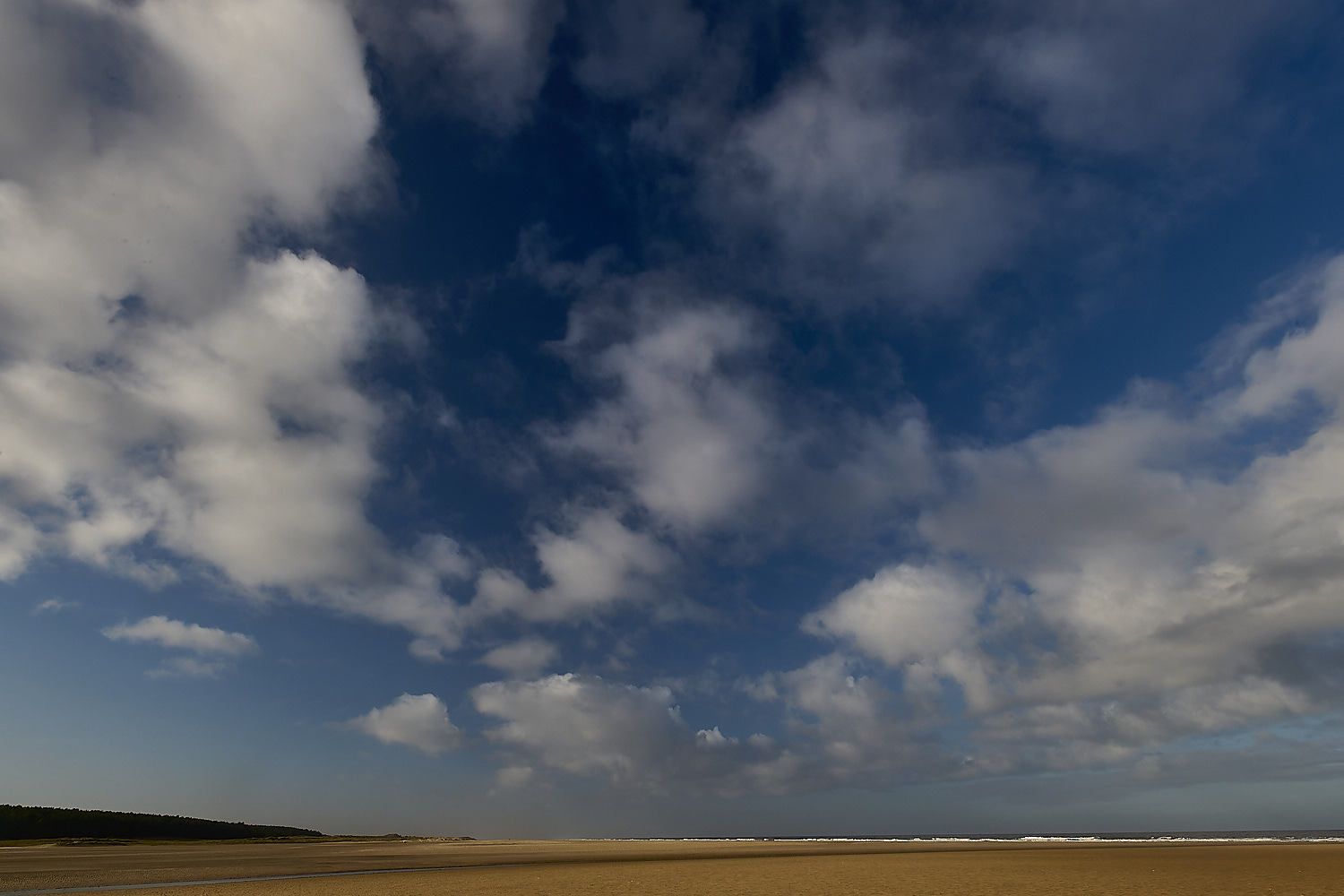 Holkham100125-7