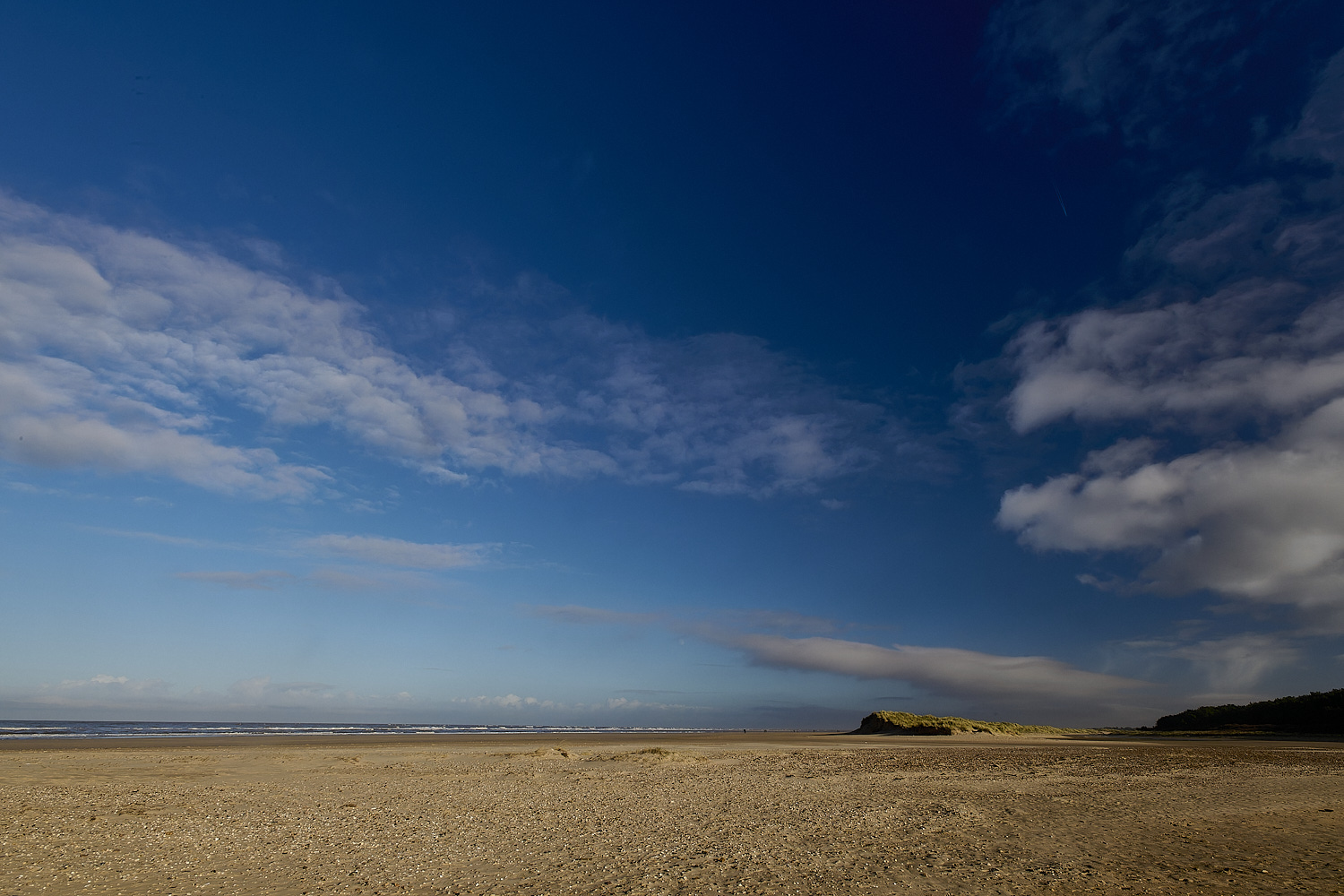 Holkham100125-8