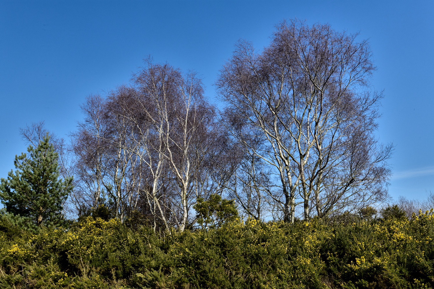 KellingHeath060325-2