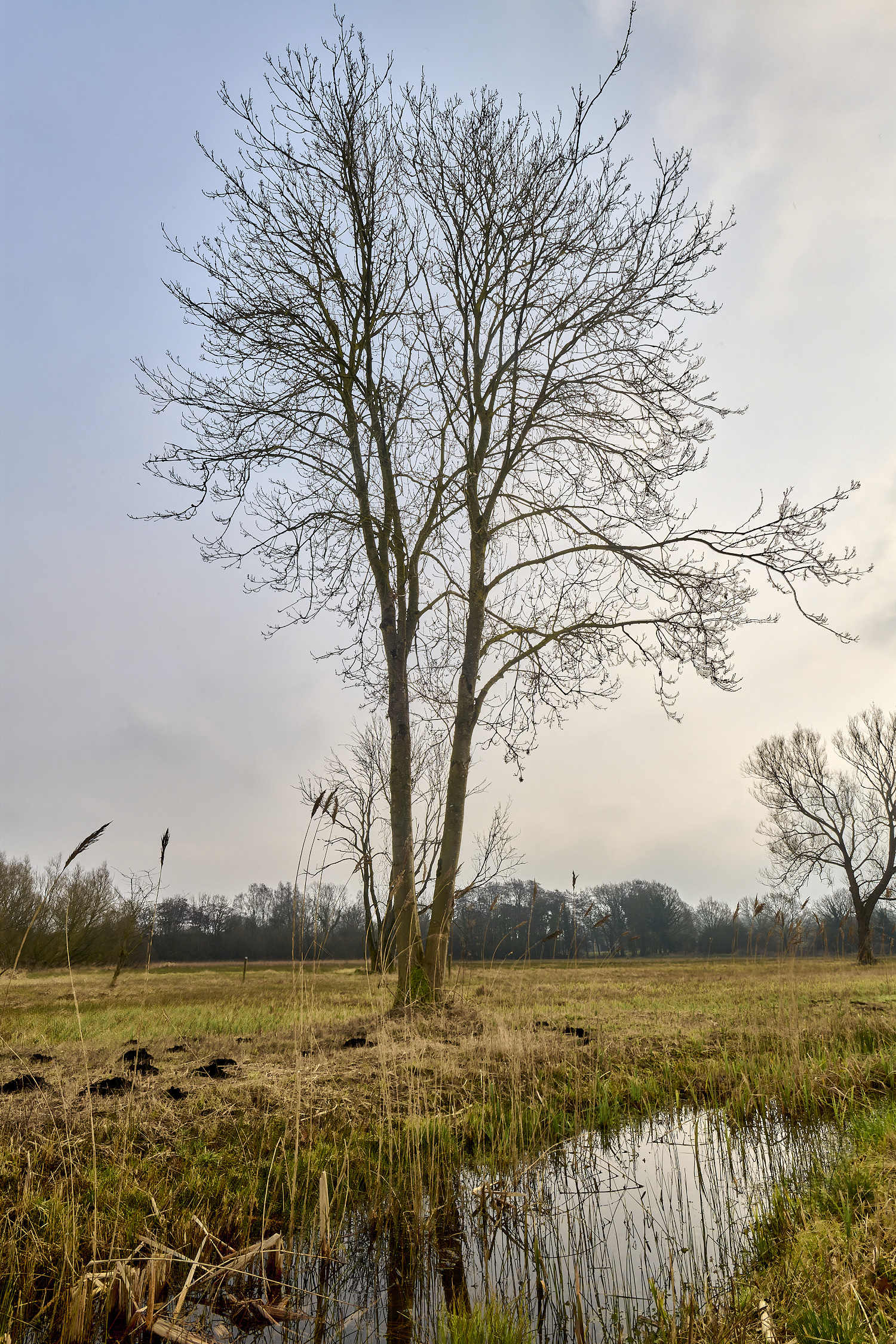 NewFen090225-2 1