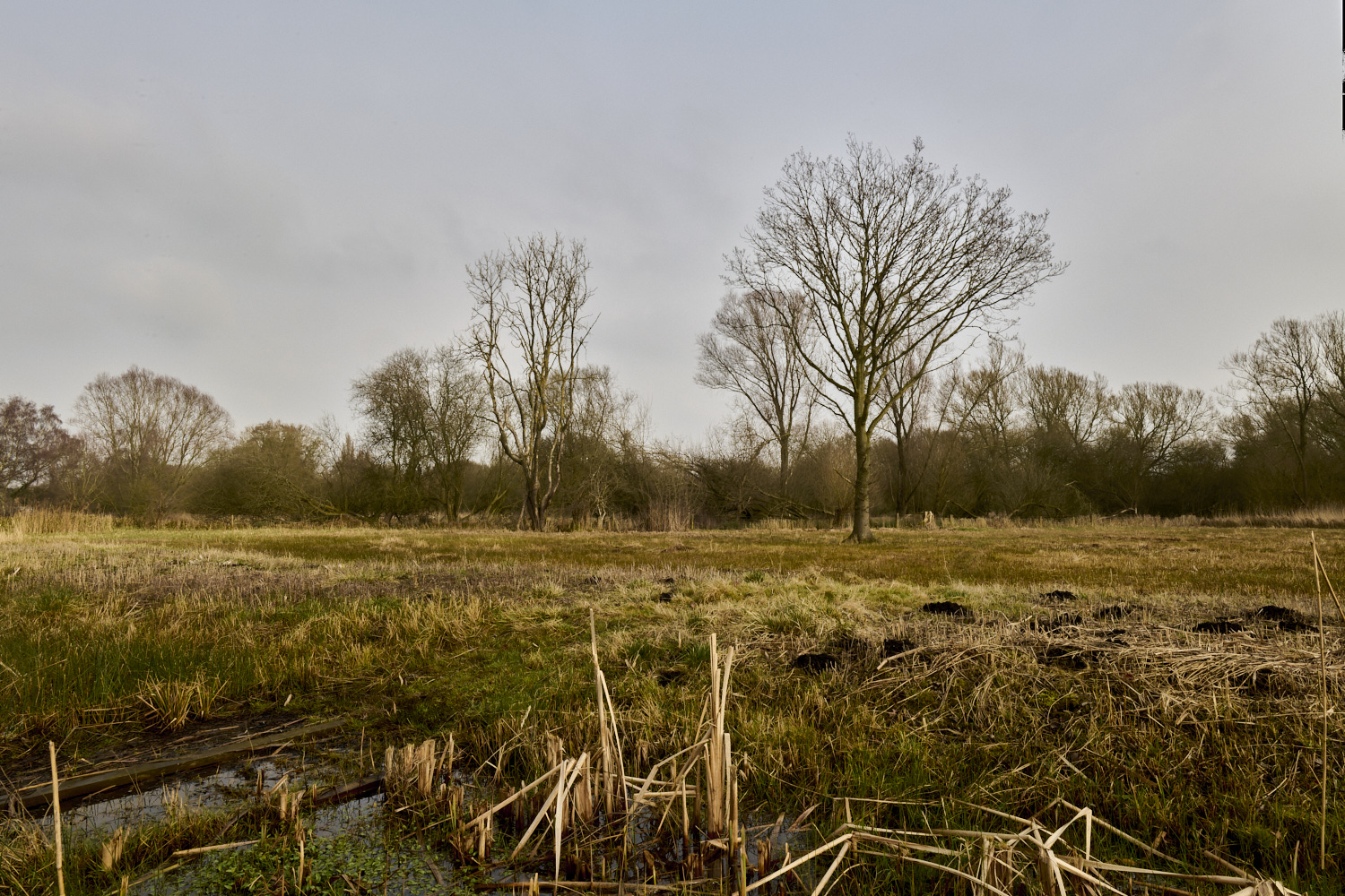NewFen090225-3 1