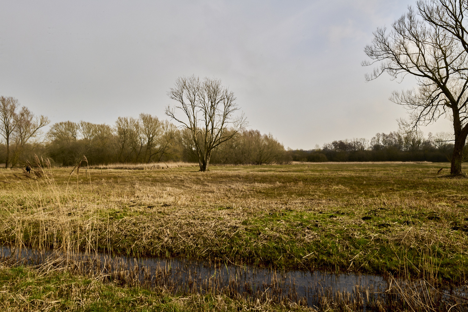 NewFen090225-4