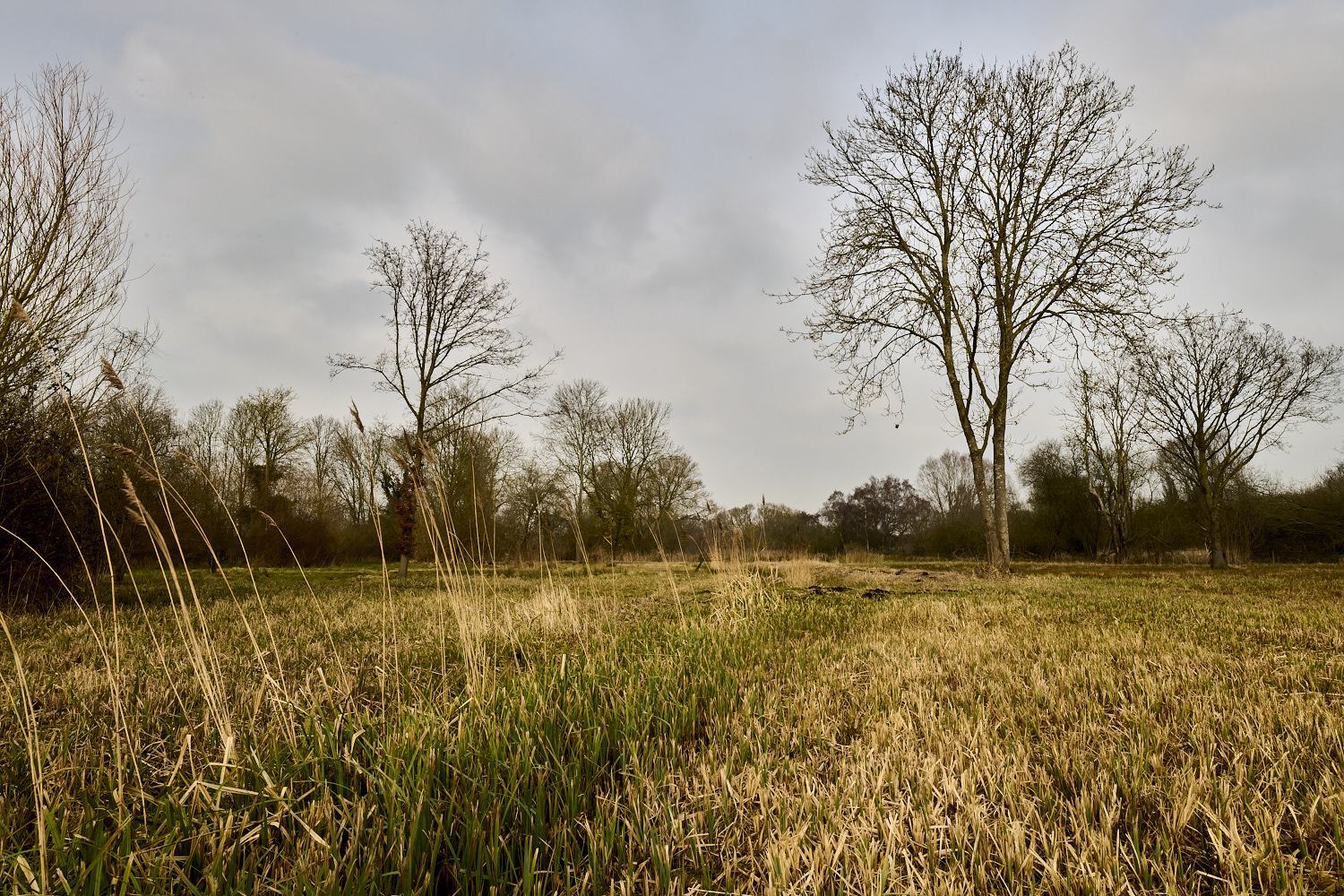 NewFen090225-5