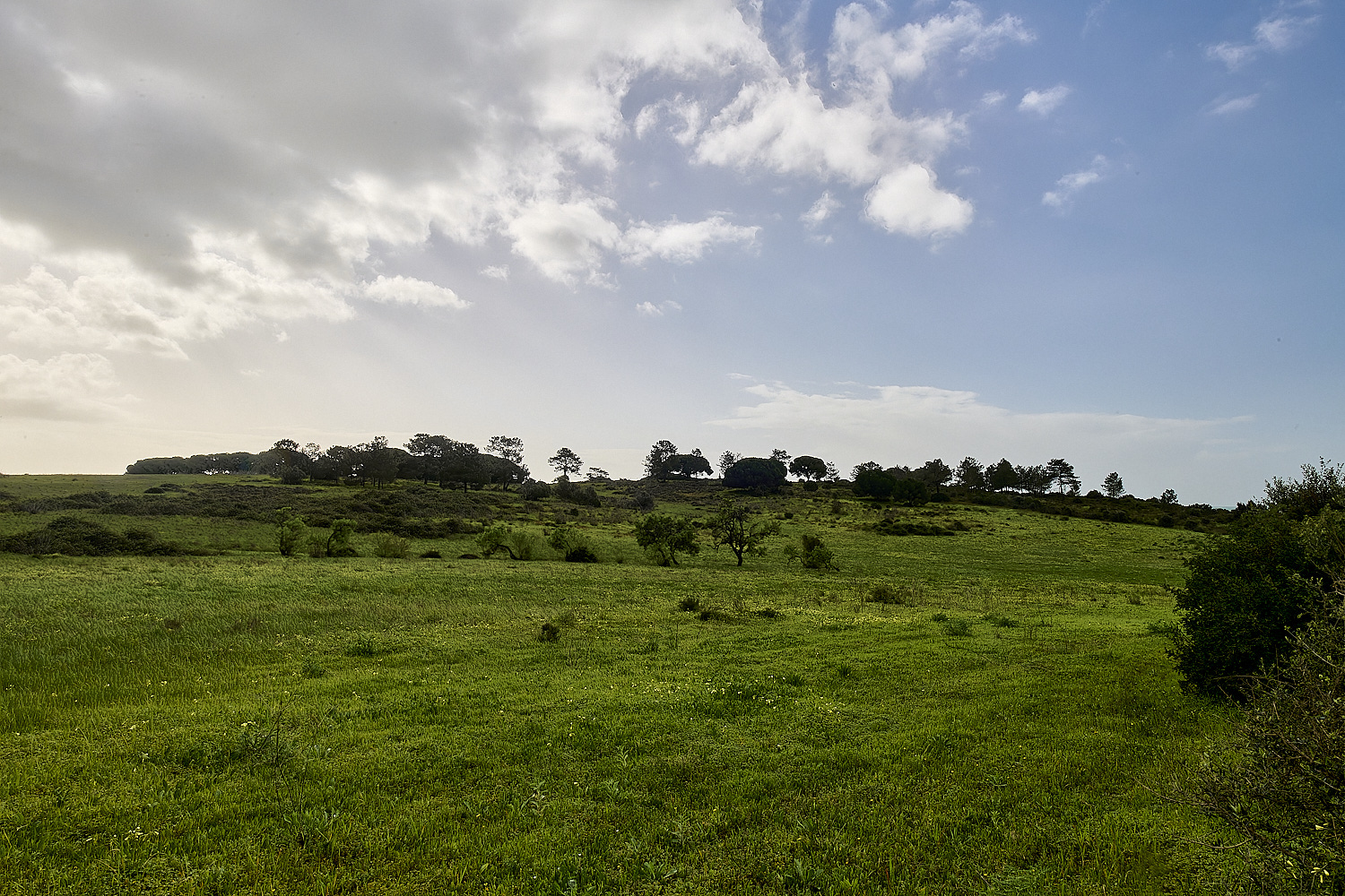 QuintaDaRocha220325-2