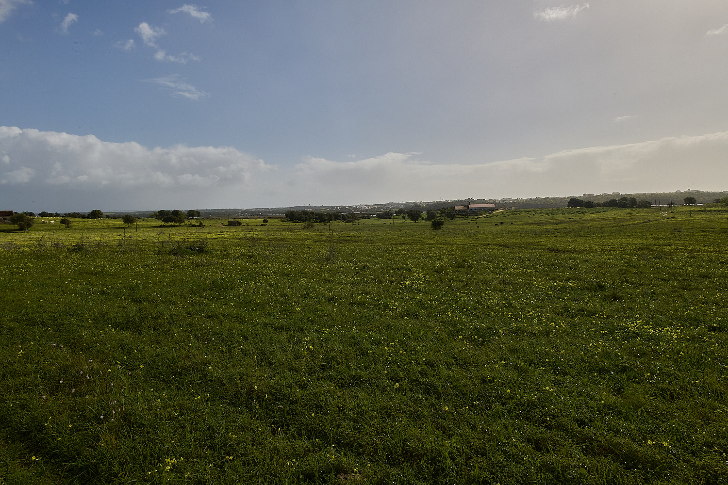 QuintaDaRocha220325-3