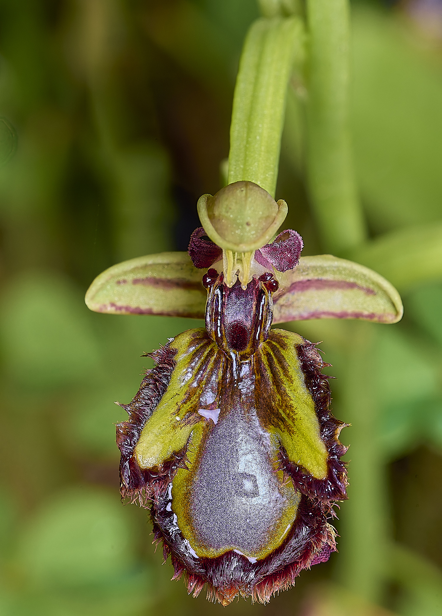 QuintaDaRochaMirror220325-2