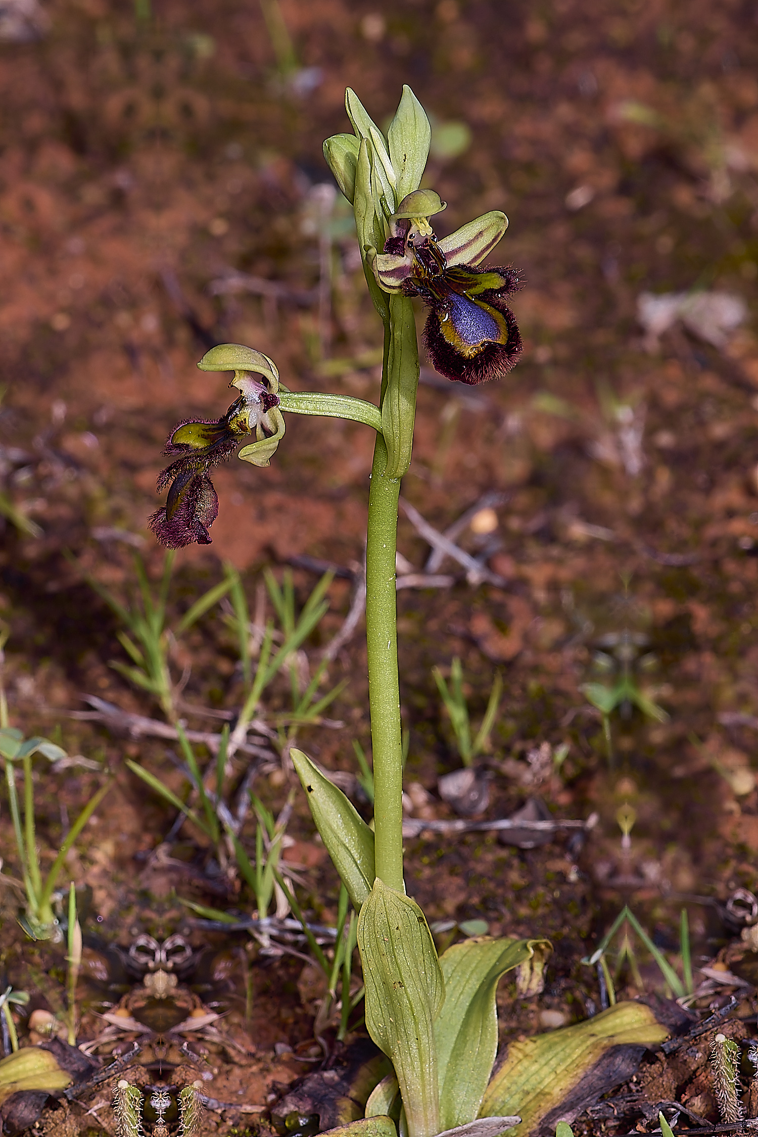 QuintaDaRochaMirror220325-3