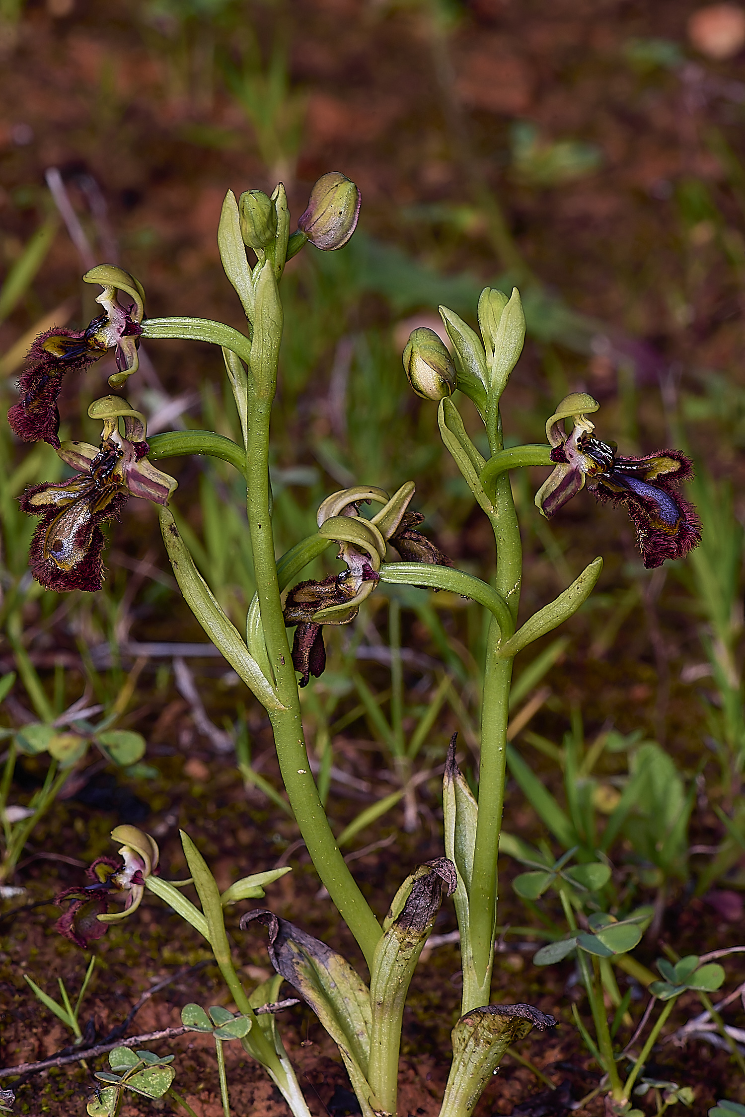 QuintaDaRochaMirror220325-4