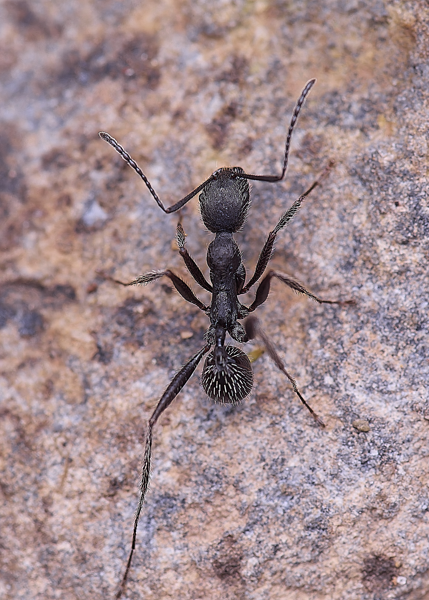 QuintaVerdeAnt170325-1-NEF-