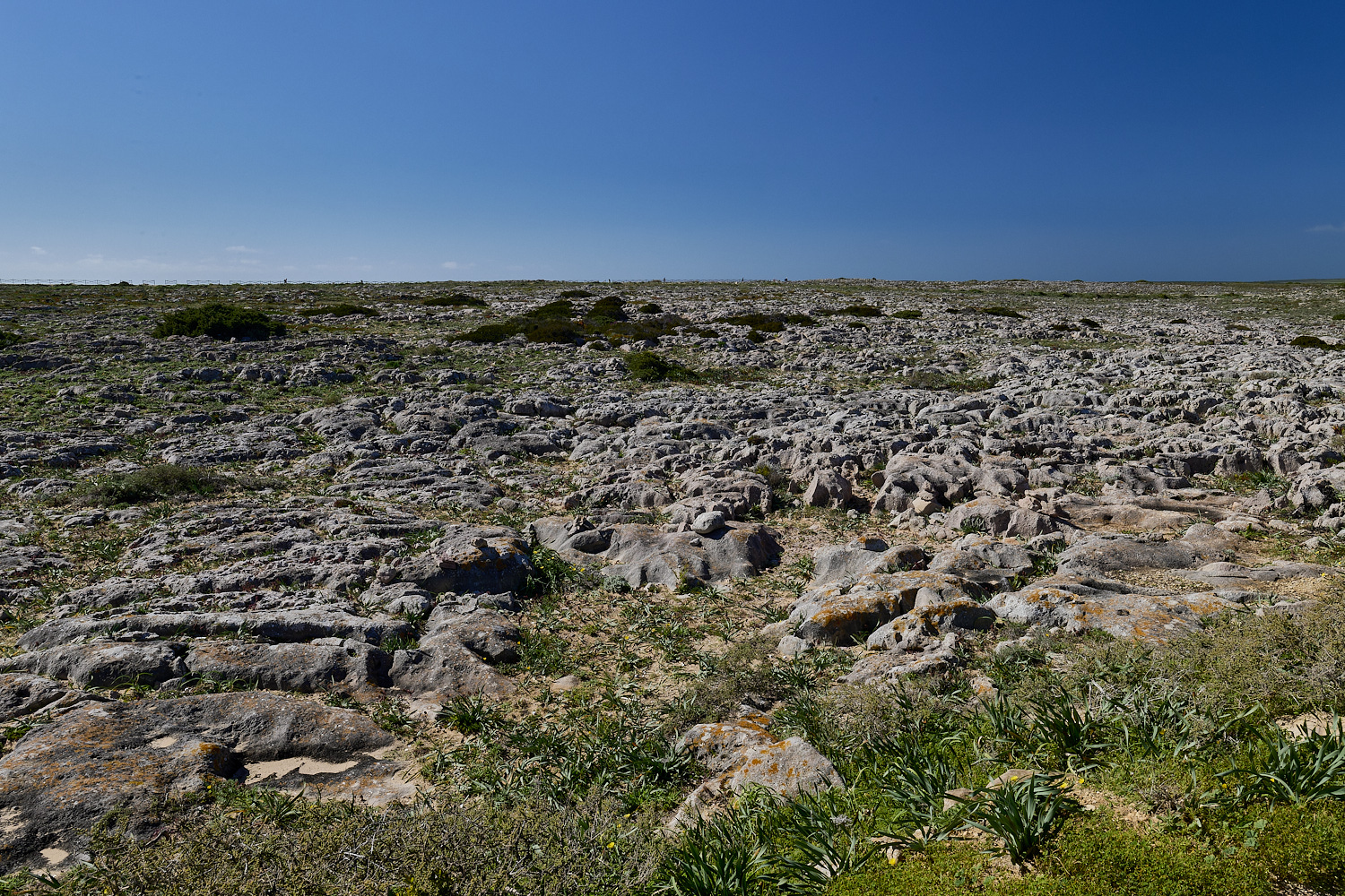 SagresPromontory260325-11-NEF-