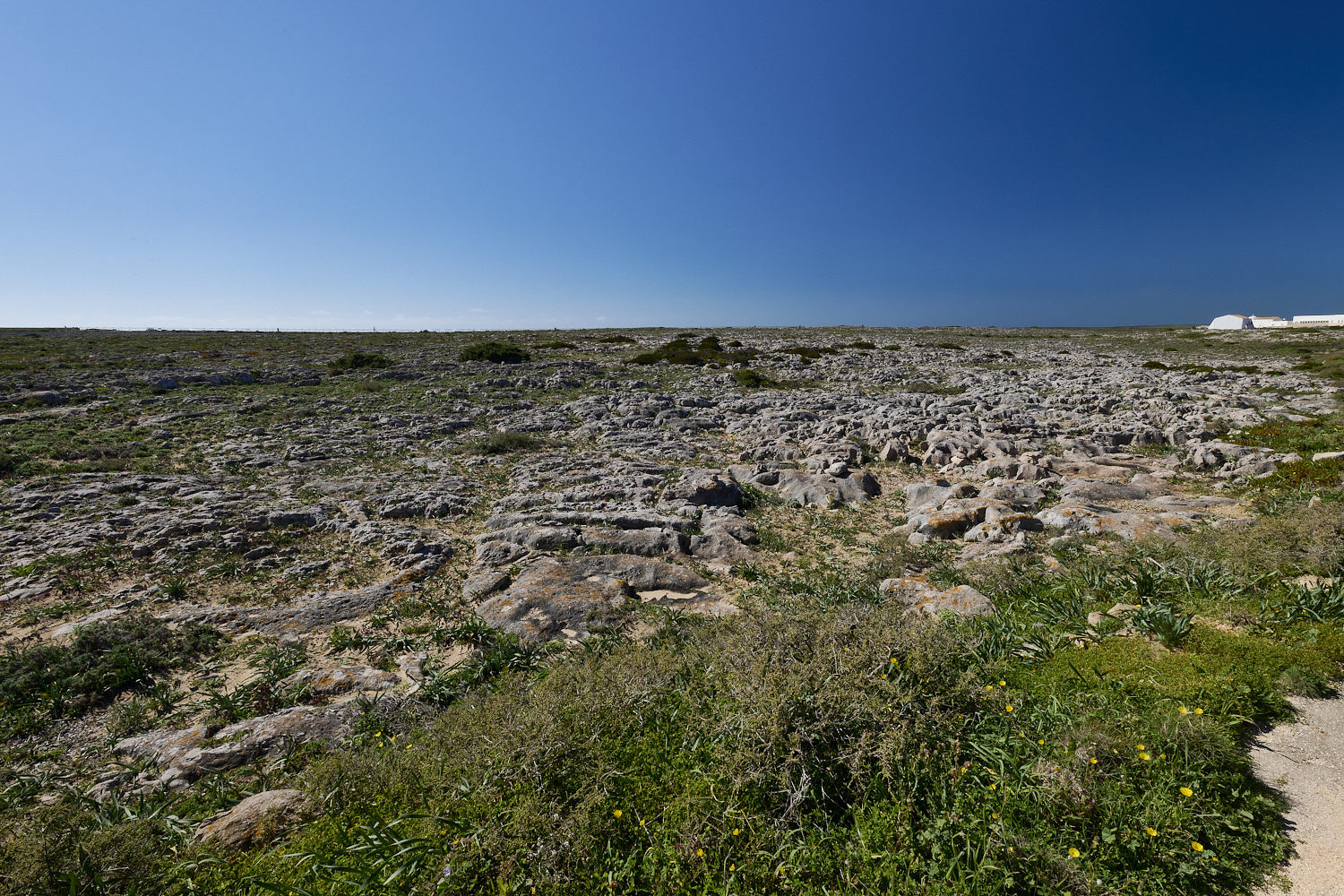 SagresPromontory260325-12-NEF-