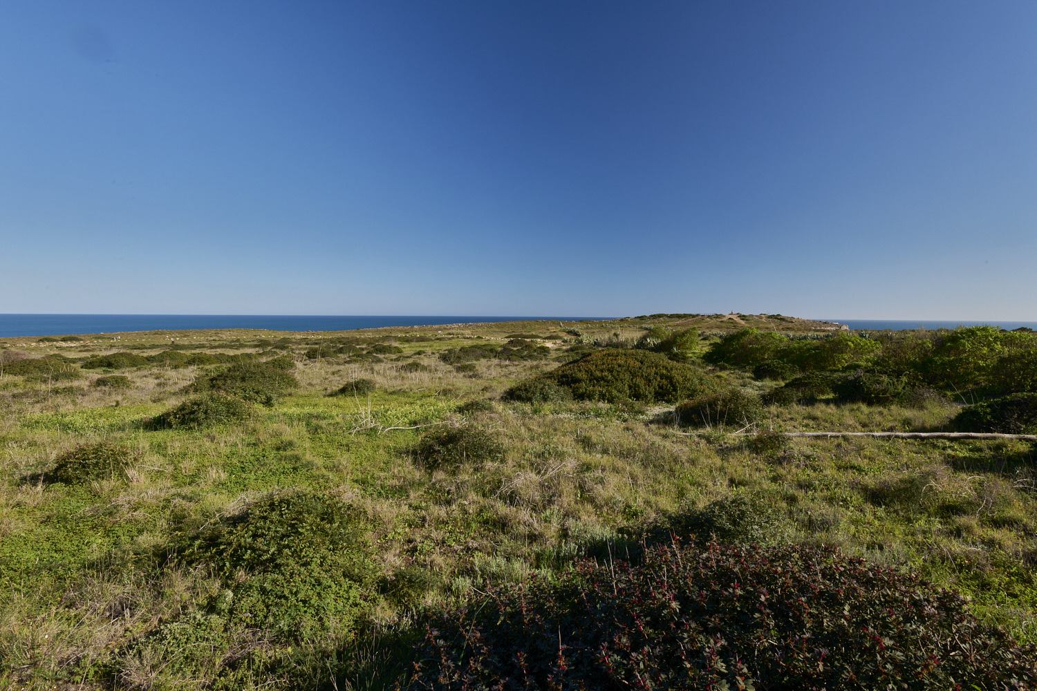 SagresPromontory260325-21-NEF-