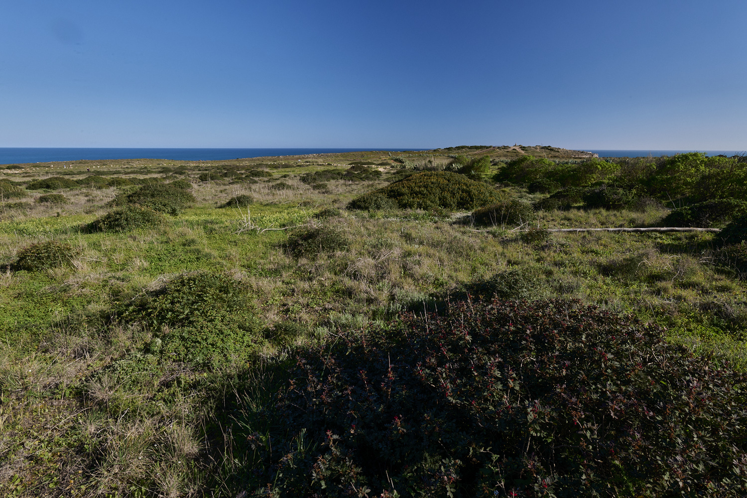 SagresPromontory260325-22-NEF-