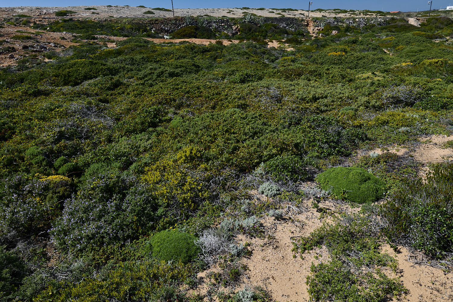 SagresPromontory260325-5-NEF-