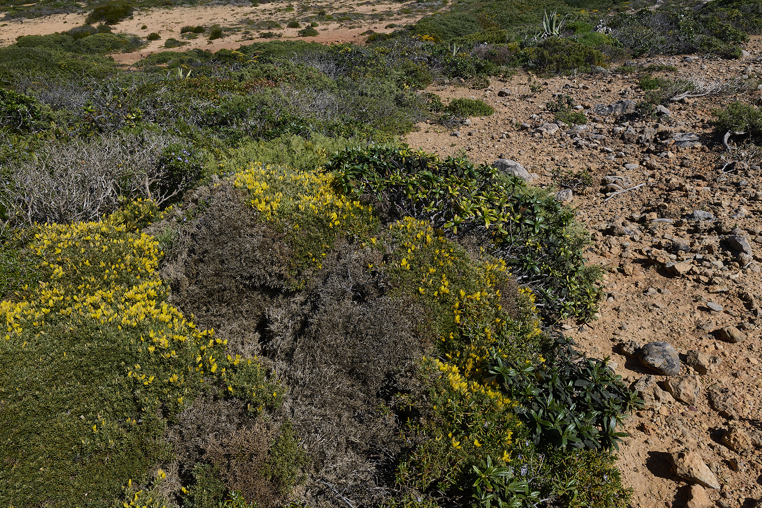 SagresPromontory260325-9-NEF-