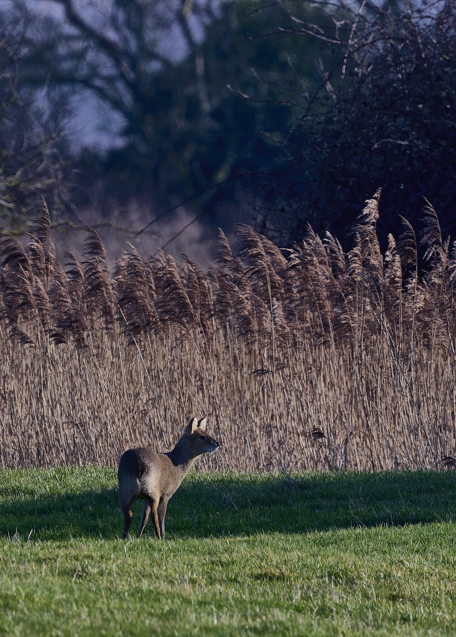 StBenet&#39;sAbbeyCWD020225-1