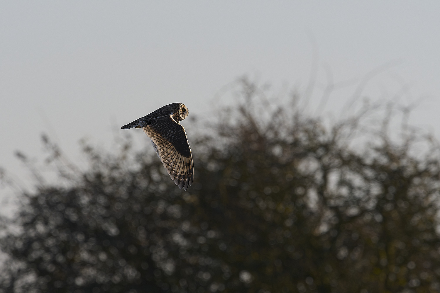 StBenet&#39;sAbbeySEO020225-0