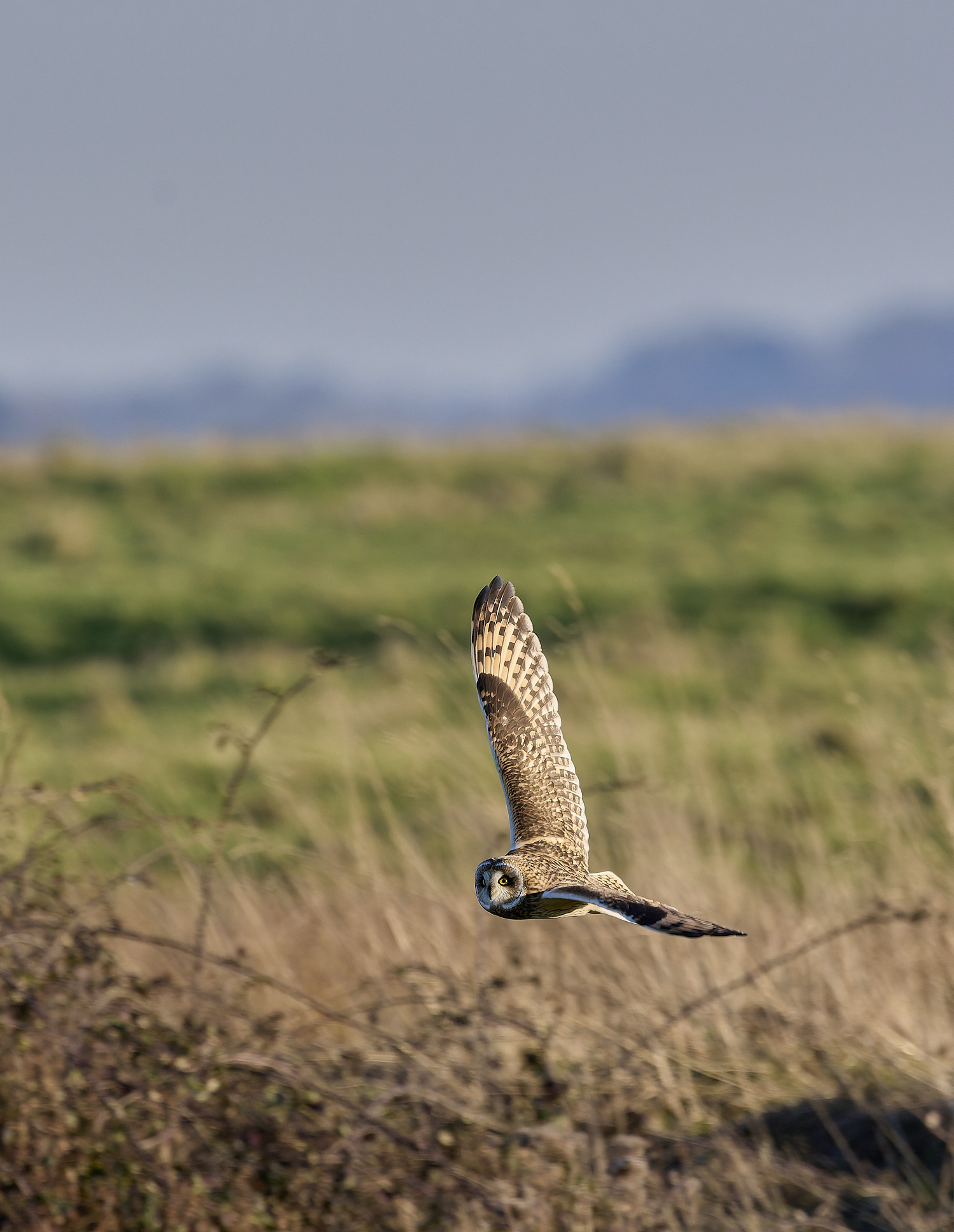 StBenet&#39;sAbbeySEO020225-1