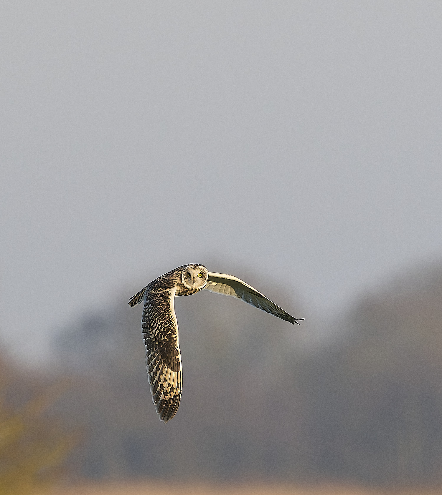 StBenet&#39;sAbbeySEO020225-10 1