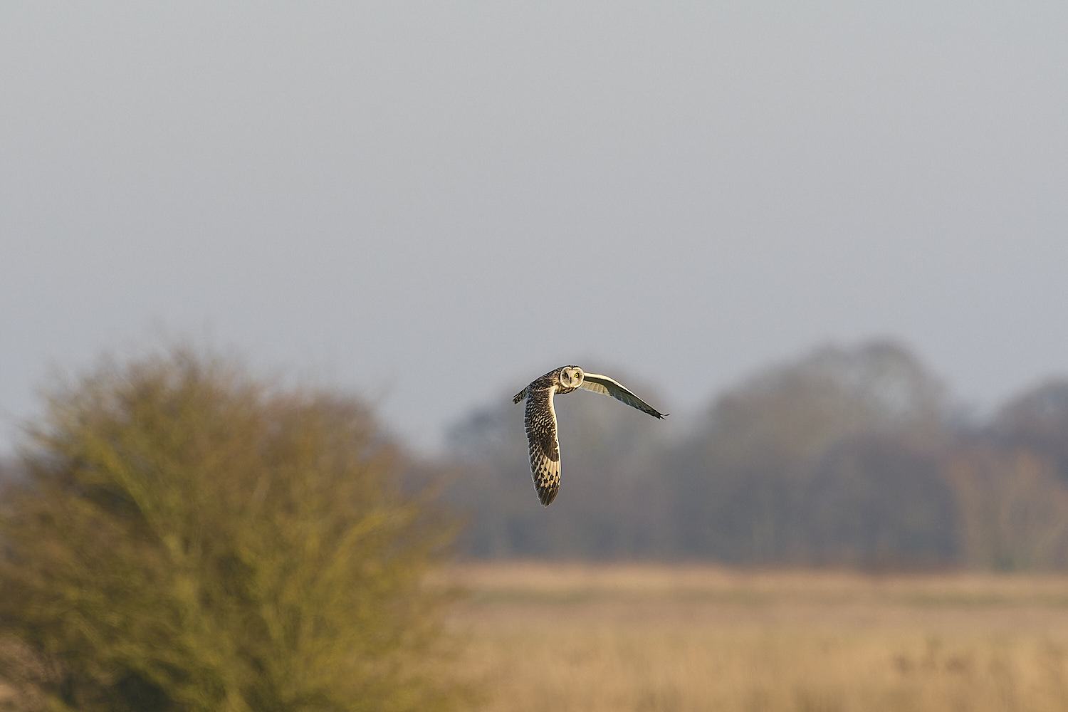 StBenet&#39;sAbbeySEO020225-10