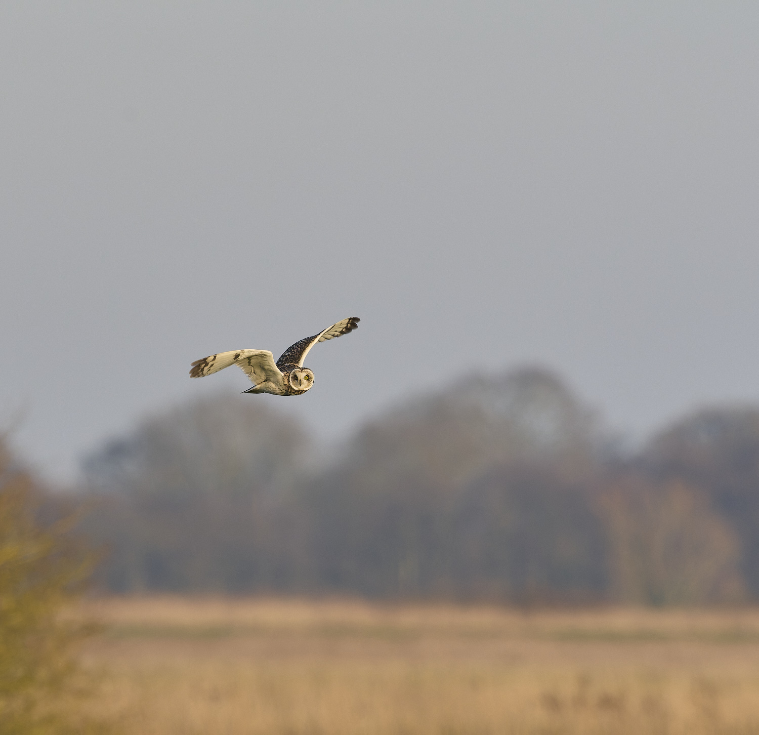 StBenet&#39;sAbbeySEO020225-11