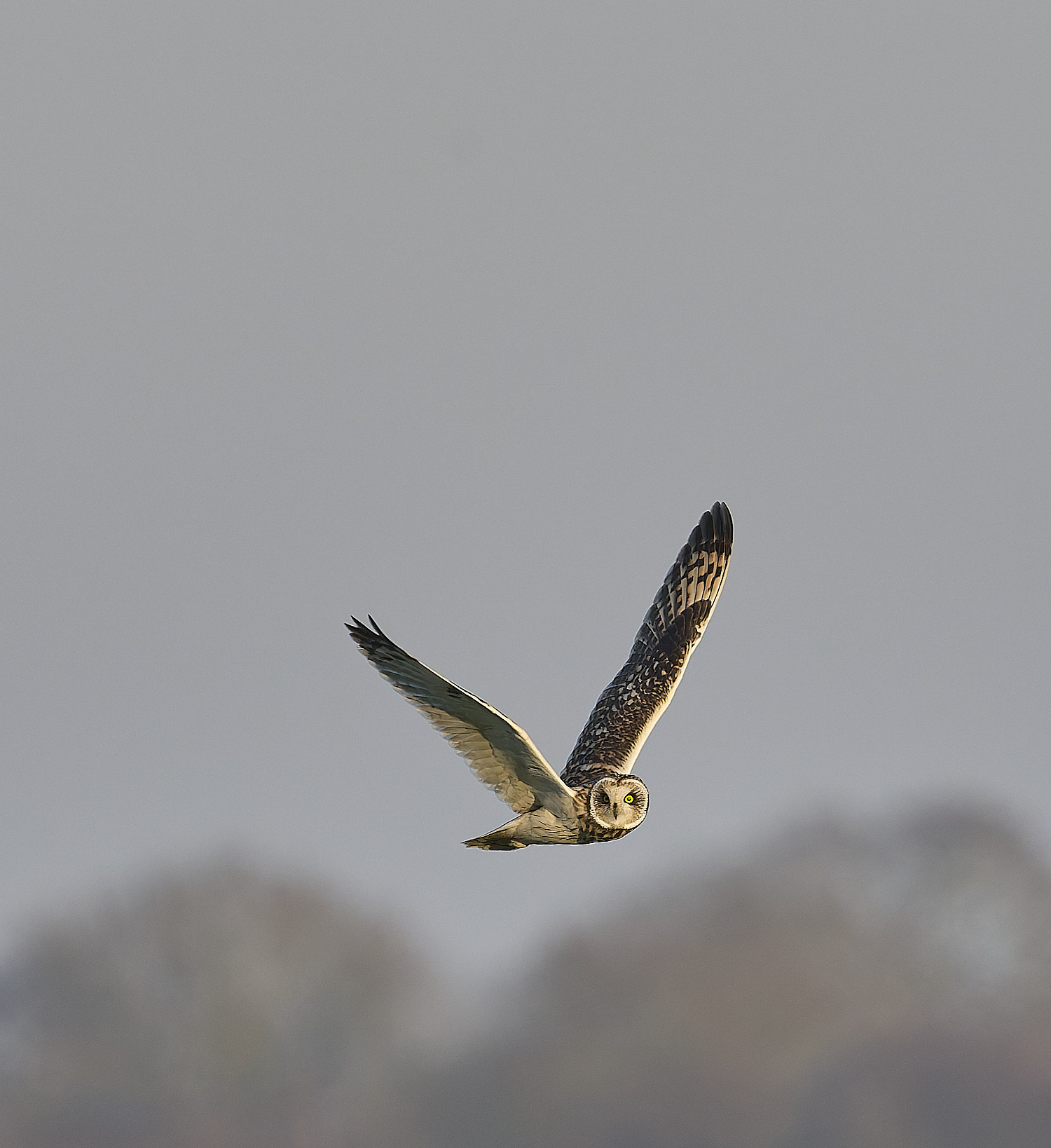 StBenet&#39;sAbbeySEO020225-12 1