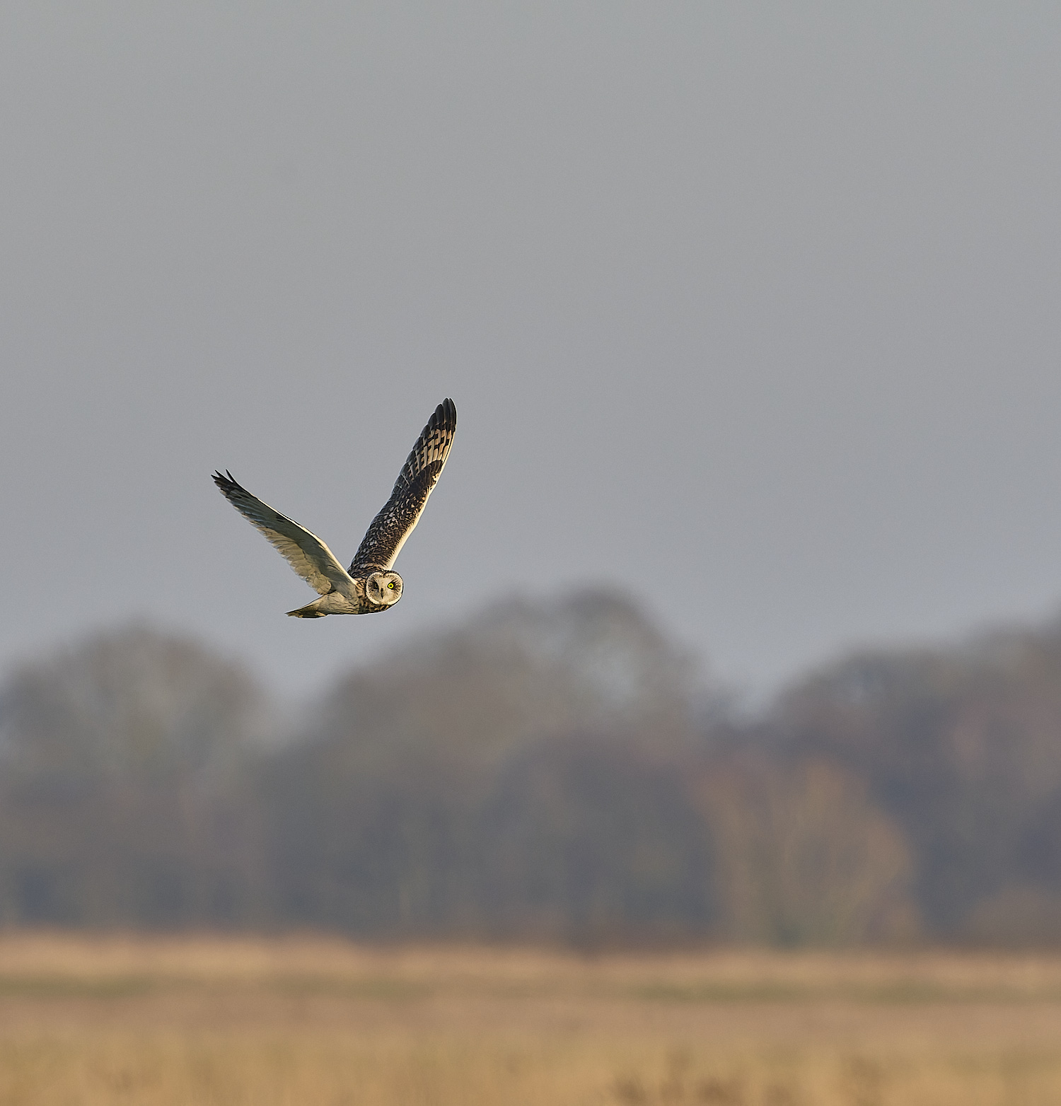 StBenet&#39;sAbbeySEO020225-12